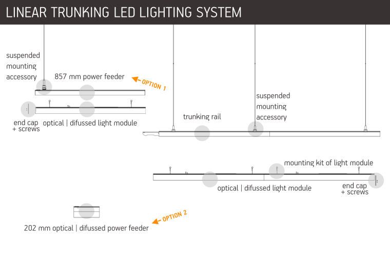 Seagull trunking system