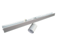 Seagull spotlight