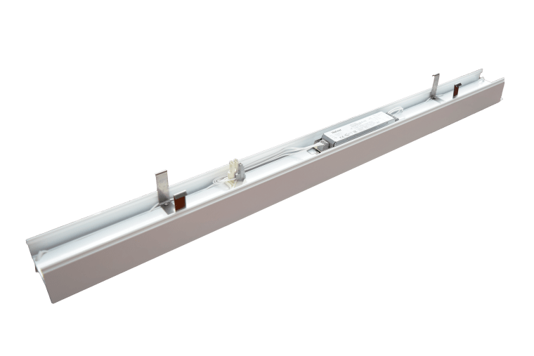 Seagull light module